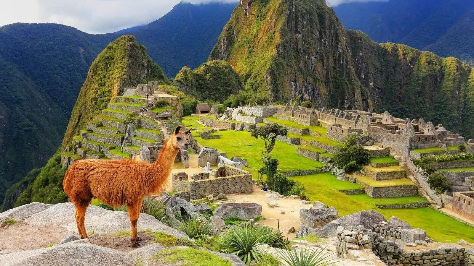 MUNDUS TRAVEL, turismo, pasadias, transporte en ibagué, colombia