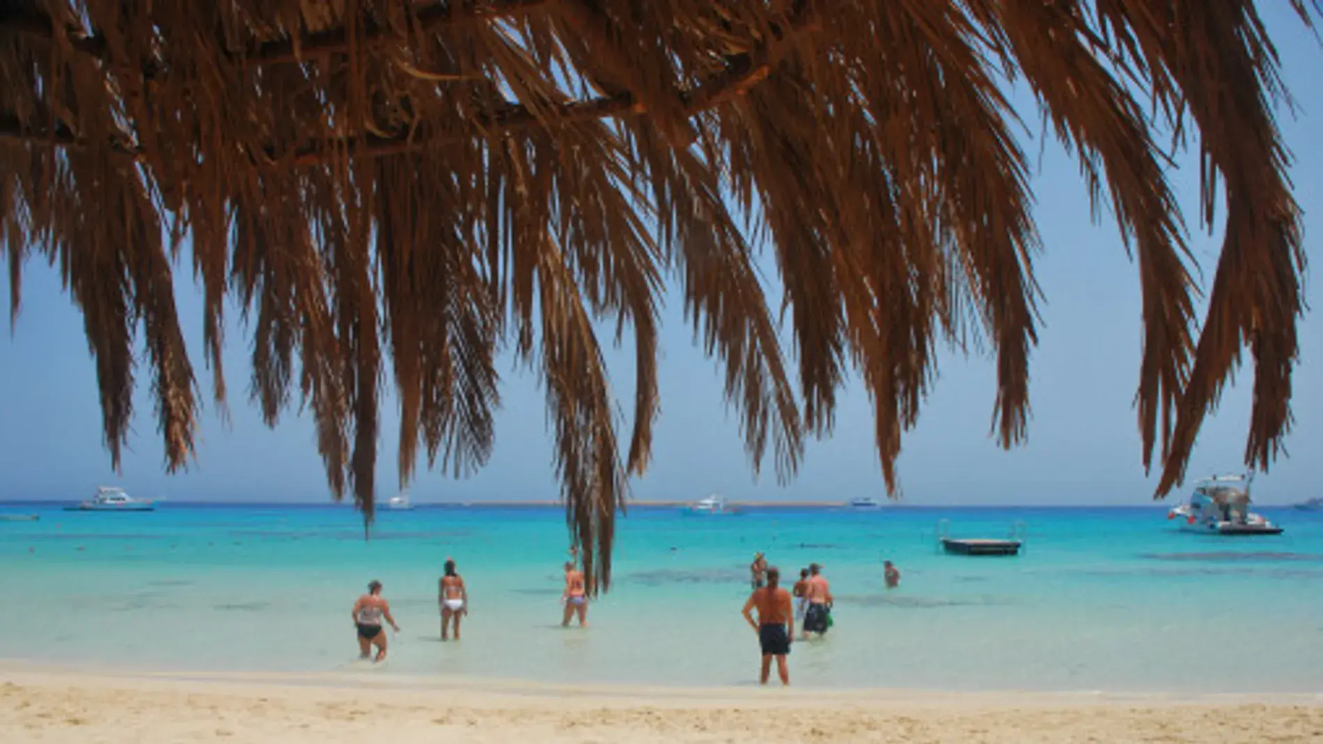 MUNDUS TRAVEL, turismo, pasadias, transporte en ibagué, colombia